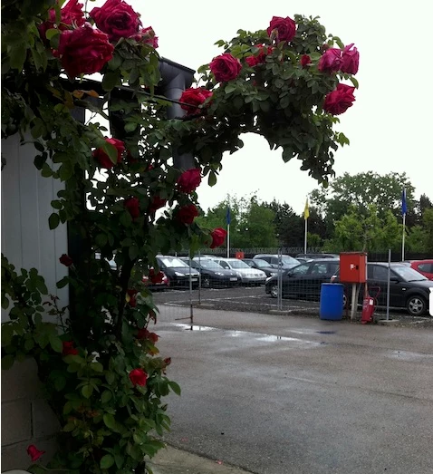 Parking Lomcar Descubierto